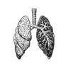 Mesothelioma Law Firm